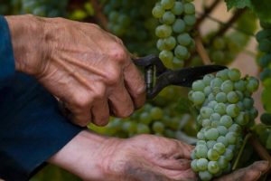 Captura de pantalla 2025-12-01 093914