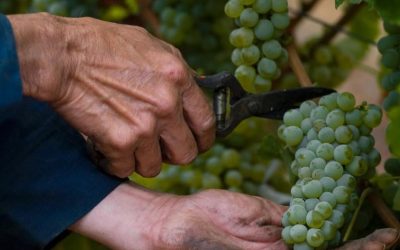 Captura de pantalla 2025-12-01 093914