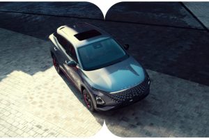 nuevsa-footer-home-1024x576