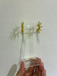 e51d6726-0d3d-4512-841b-c18bd7d6f29c